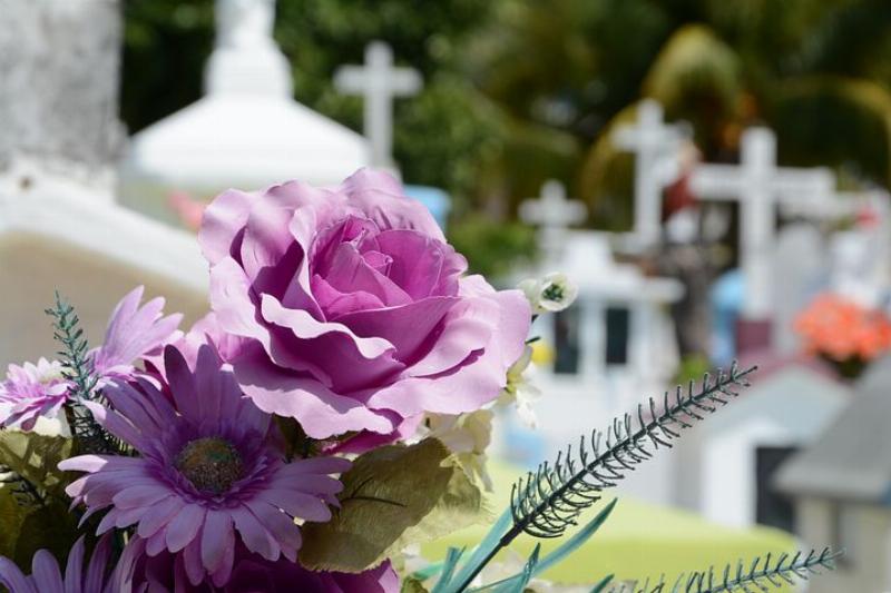 fleur cimetière